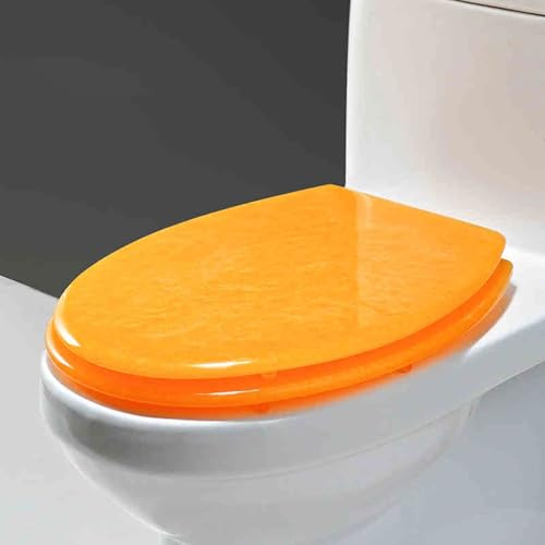 Eleeonora Resin Toilet Seat,Glitters Toilet Seat,Thickened Resin Toilet Seat,Funny Toilet Seat,Hinged Connection,Comfortable,Easy To Clean,Bright Colors,Suitable For Hotel Toilet Decoration