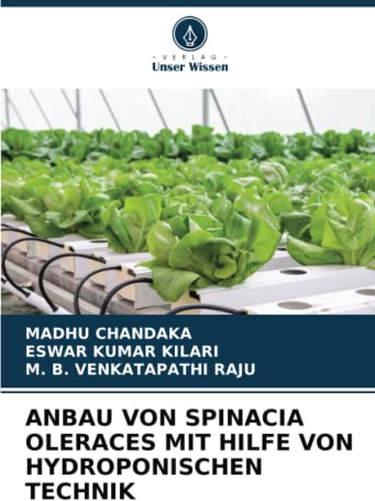 ANBAU VON SPINACIA OLERACES MIT HILFE VON HYDROPONISCHEN TECHNIK