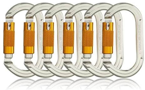 SOB Karabiner Kletterkarabiner Karabinerhaken aus Aluminium Schlüsselanhänger Karabinerhaken für hohe Beanspruchung mit Schraubsicherung zum Klettern, Abseilen, Hängematten (22KN(6 Pack))