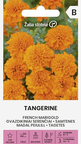 Zalia stotele | Tagetes - TANGERINE Graines de fleurs | Fleurs annuelles oranges | Pour massif, balcon et bordures | Graines de jardin | 1 sachet