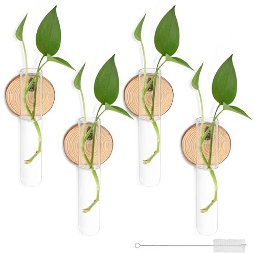Cyiecw Lot de 4 vases à essai décoratifs en verre - Créatifs - À suspendre au mur - Avec crochet et brosse de nettoyage - Pour plantes hydroponiques