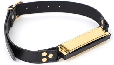Kutocesy Divaricatore Di Bocca Con Armonica Bavaglio Regolabile BDSM Bavaglio A Sfera Per Bondage Bocca Bavaglio Schiavo Giocattoli Del Sesso Per Coppie Uomini (Gold)