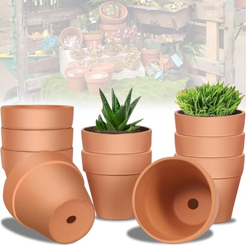 Mockotta Pack de 10 Macetas de Terracota de 10 x 8 cm,Macetas Barro,Mini macetas,Maceta Terracota,Reutilizables Pequeñas Macetas de Barro,Macetas Pequeñas para Casas de Cactus y Suculentes Enteras