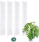 Soporte de Moss – Planta trepadora, Caja Interior | Tótem apilable para Plantas, Barra de Soporte Flexible, Utilizado para Monstera Deliciosa, Soporte filodendro para trepar en macetas