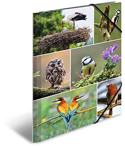 HERMA Sammelmappe A4 Vögel, Kinder Eckspanner-Mappe aus Pappe mit Tier Motiv, Gummizug, Innenklappen und Innendruck für Jungen und Mädchen