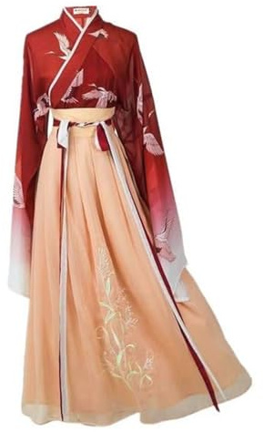 Xingchangda Robe Hanfu traditionnelle chinoise antique pour femme Jupe longue pour le quotidien, costume de scène et de cosplay, Type 1, 48
