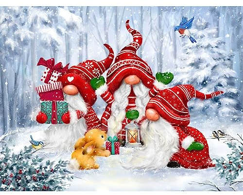 NAIMOER Gnome Diamond Painting Kit per Adulti Completo, 5D Diamantini Crystal Art Bambini, Pittura Diamante Inverno Fai da Te, Strass Ricamo a Punto Croce, Decorazione per Casa 30x40cm