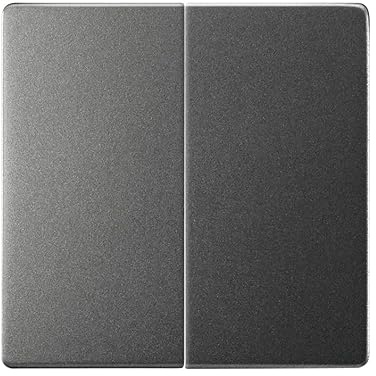 SIMON - Tecla Doble para Interruptor o Conmutador, Serie 82 Concept, Compatible con Series de Mecanismos 75, 31, 82 y 88, Fácil de Instalar, Efecto Mate Antihuellas, Color Titanio