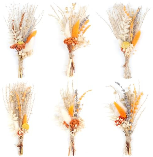 6PCS Mini Boho Dried Flower Bouquet Fall Decor Autumn Decorations Mini Natural Real Plants for Wedding Table Centerpieces Gift Box Cake Bottle Decor Home Vase Decorations DIY Craft