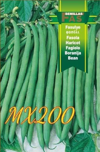 Fagiolo Nano MX200, Confezione da 2500 Semi