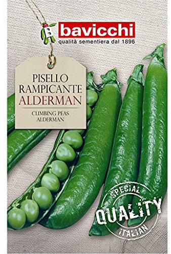 Bavicchi semi pisello rampicante Alderman 250g