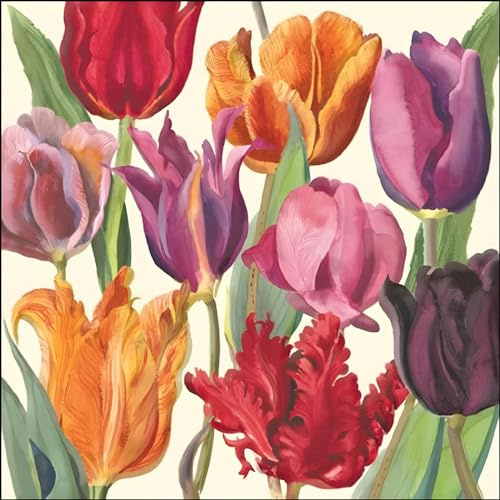 Woodmansterne General Female Blank/Birthday Card for Women - Colourful Tulips By Emma Bridgewater - Eco-Friendly & Recyclable