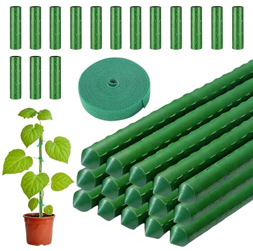 LINSOCLE 30 x växtstavar 40 cm för förlängning, rankstavar och tomatstänger som stabilt klätterstöd för växter, växthållare och stavar för att stabilisera orkidéer och grönsaker – Ø 11 mm