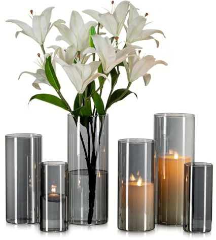 Glasseam grå stor glasvas: 6 st moderna cylindervaser för blommor, vardagsrumsbordsdekorationer, centerpiece – orkanvaser för dekor, rosor, tulpan, pampas, dekorativa ljushållare (15/20/25 cm)