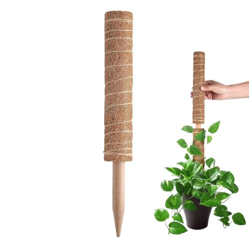 Bastone di muschio al cocco – di supporto per piante, di cocco espandibile | Strumento per piante in griglia, supporto duraturo e crescita sana per Monstera, Pothos e Filode