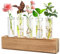 Gardening Gifts for Women, Unique Plant Gift for Mum Daughter Wife Auntie Grandma Gardener Best Friend, Female Ladies Garden Presents for Birthday Christmas Mothers Day Valentines Day