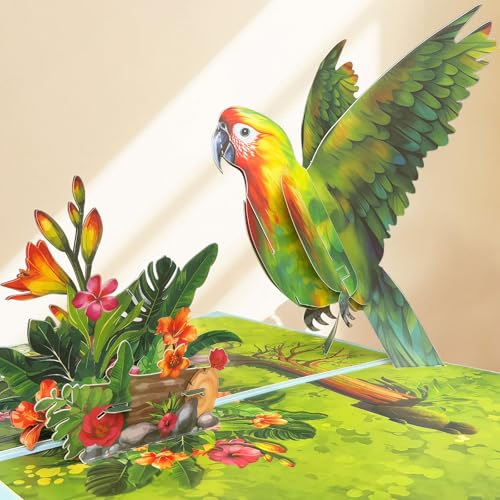 Happivue Hummingbird Birthday Cards for Women, Pop Up Birthday Card | Popup Greeting Card for Mum Grandma Wife Daughter Sister Female Friend, 3D Gift Card for Her