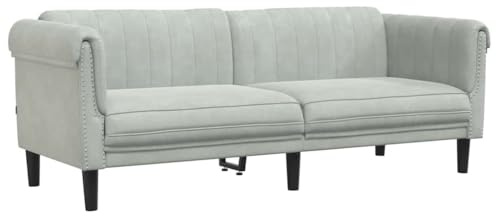 vidaXL Sofá de 3 Plazas, Asiento de Relax con Respaldo Reposabrazos, Sillón Tapizado de Televisión, Mueble para Salón, Terciopelo Gris Claro
