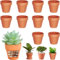 Cerkkapo Lot de 10 Pots en Terre Cuite de 10 x 8 cm, Petits Pots en Argile avec Trou de Drainage, Mini Pot en Terre Cuite, Pot Terre Cuite Réutilisable pour Chambre Bureau