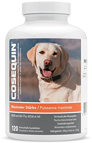 Nutramax - COSEQUIN Joint Health Supplement for dogs, Maximum Strength - Joint Support - With Glucosamine and Chondroitin, MSM, and Hyaluronic Acid - for Dogs, 120 Chewable Tablets