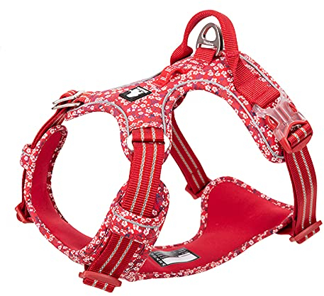 WINHYEPET Truelove No-Pull-Hundegeschirr, Baumwollgewebe atmungsaktiv und reflektierend weich, verstellbar zum Laufen, Spazierengehen, geeignet für kleine mittelgroße Katzen Hunde TLH5655