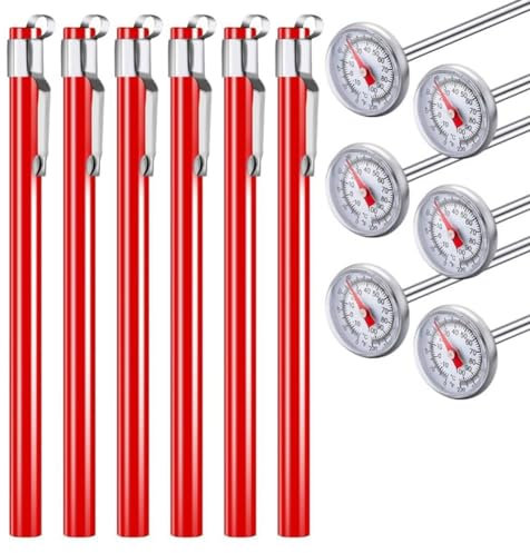 Lorrgasw Lot de 6 thermomètres de cuisine en acier inoxydable avec 5 longues tiges rouges