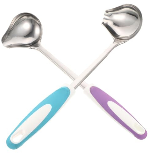 DOITOOL 2 pezzi Cucchiaio da Salsa in Acciaio con Beccuccio Scivolo Cucchiaio per Condimenti e Insalate Manico Ergonomico per Cucina Domestica e Ristorante Colori e Blu