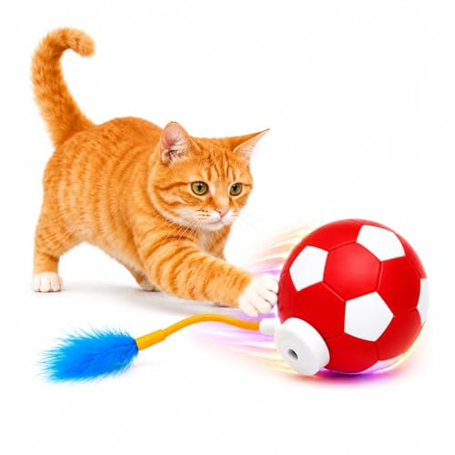 Cat & Moustache Balle Interactive Chat Instinct™ Lumineuse LED avec Plume | Recharge USB, 3 vitesses et mouvement automatique pour stimuler l’instinct de chasse et réduire l’ennui, pour tous les Chats