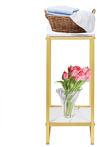 HarBin-Star Supporto per fiori a 2 ripiani, Portapiante Alzata Supporto Vasi, colore oro, 30,2 x 30,2 x 75 cm, in metallo, moderno, per balcone, giardino