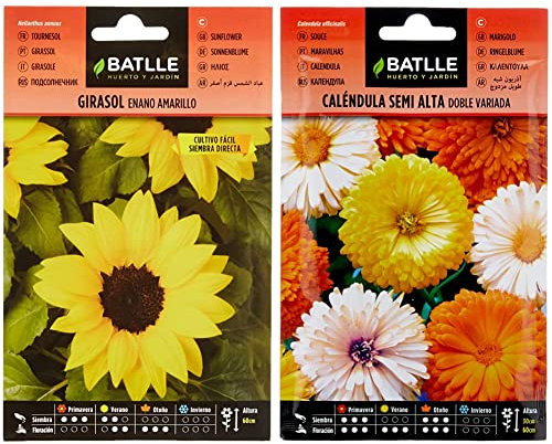 Girasol enano amarillo & Caléndula semi alta doble variada