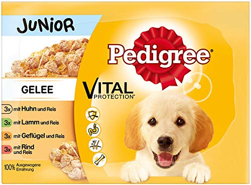 Pedigree Comida húmeda para perros junior para cachorros, selección en gelatina, 12 bolsas de porciones (12 x 100 g)