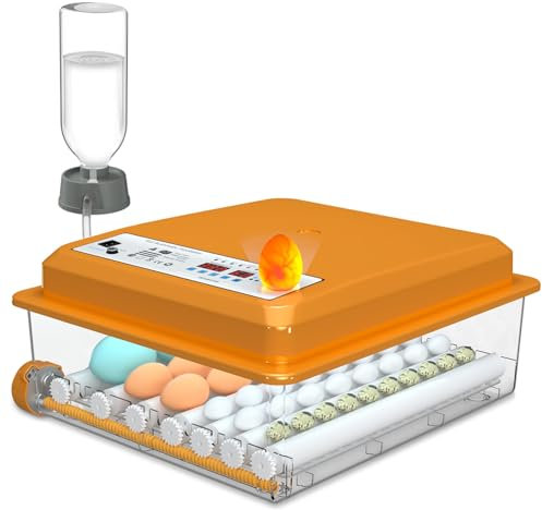 Chalixion Brutautomat Vollautomatisch, Automatisches Wenden 36 Eier, Inkubator mit 4 Automatische Brutmodi, Brutmaschine Temperaturregelung, Feuchtigkeitsanzeige für Hühner, Enten, Gänse und Tauben