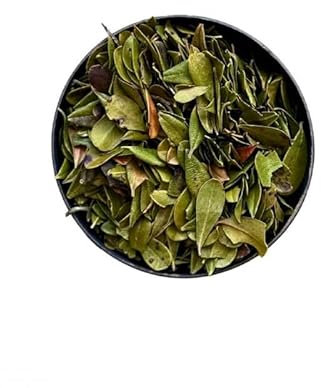 Tisane Busserole (Raisin d'ours) feuille ENTIERE 250 GRS Uva ursi