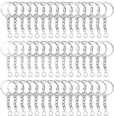 Anelli per Portachiavi 100 Pezzi Ganci Portachiavi,Portachiavi Anello in Metallo,Anello Portachiavi con Cerchio 25mm per Porta Chiavi Mestieri Key Chains Argento