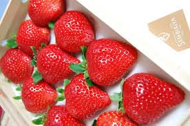 Fresas japonesas caras Sembikiya Queen: 10 semillas frescas para plantar