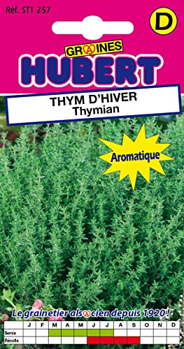 Graines de Thym D'Hiver Vivace - 0,5 grammes
