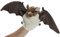 Carl Dick Fledermaus Handpuppe, Plüschtier, Kuscheltier ca. 25cm lang, 44cm Spannweite 3472