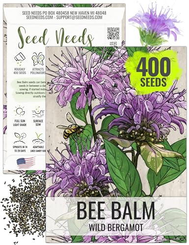 Seed Needs Wild Bee Balm Seeds to Plant Bergamot Perennial Flowers 1 Pack