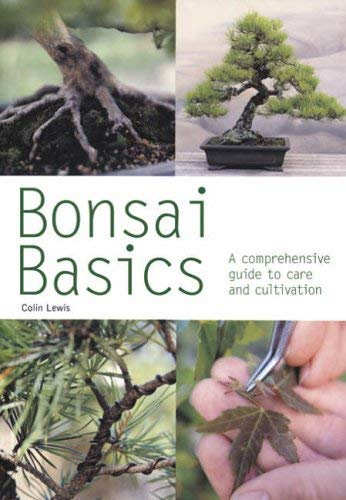 Bonsai Basics (Pyramid Paperback)
