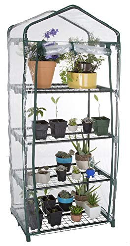 Taylor & Brown 4 Tier Greenhouse Compact Green House with 4 Shelves and Weatherproof PVC Plastic Cover Plant House/Grow House for Garden and Outdoor Roll up Zip Panel Door Easy No Tool Assembly