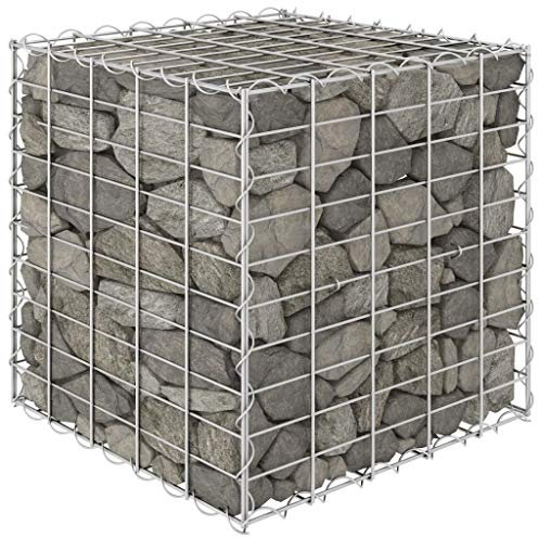 ShGaxin Arriate de gabion cubique fil d'acier 50 x 50 x 50 cm, table de culture, potager domestique, culture de plantes aromatiques, lit de jardin