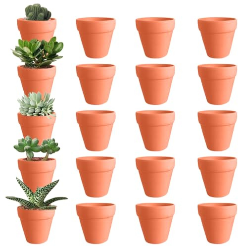 AVCXEC lerkrukor små, 20 stycken terrakotta krukor, 6,5 x 6 cm små lerkrukor för pyssel, lerkruka med dräneringshål, blomkruka liten för växter, terrakotta suckulenter krukor, hantverk