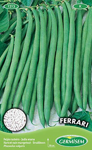 Germisem Ferrari Graines de Haricots Français 100 g EC1213 Multicolore