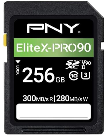 PNY Scheda di Memoria Flash SD 256GB EliteX-PRO 90 Classe 10 U3 V90 UHS-II