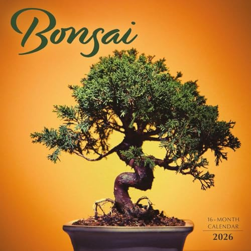 Carousel Calendars, Bonsai 2026 Wall Calendar, 12'' X 12'', 16-Month Calendar with Stapled Binding