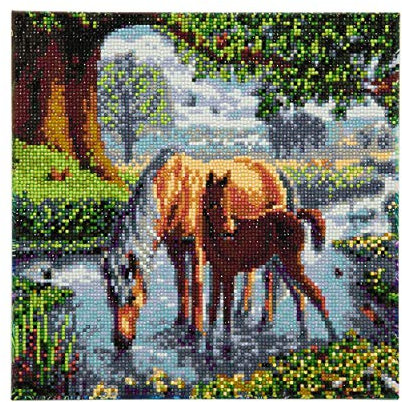 CRYSTAL ART - Kit Tableau Broderie Diamant sur Chassis Toilé - Activité Manuelle de Peinture - Loisirs Créatifs - Adulte et Enfant - Thème : Les Chevaux - Format : 30 x 30 cm