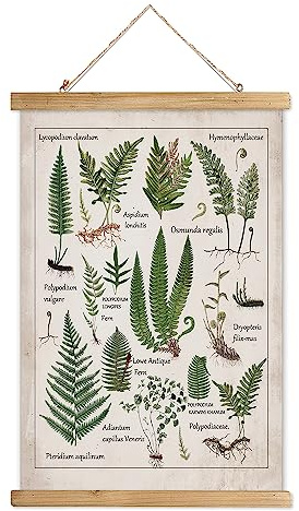 XIAOAIKA Vintage Ferns Hänge-Poster mit Holzrahmen, Retro Stil Wanddekoration Kunst Malerei, Muster gedruckt auf Leinen ohne Verblassen, fertig zum Aufhängen (50 x 75 cm)