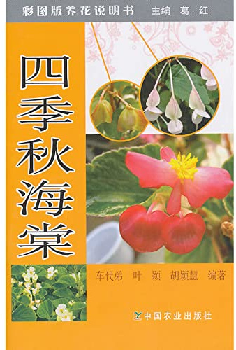 Four Seasons Begonia(Chinese Edition)