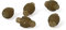 Fox Matrix Quick Change Feeder Beads - 5 Gummiperlen zum Feederangeln, Gummistopper zum Angeln mit Feederkorb