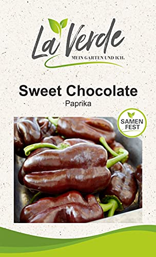 Sweet Chocolate Paprikasamen